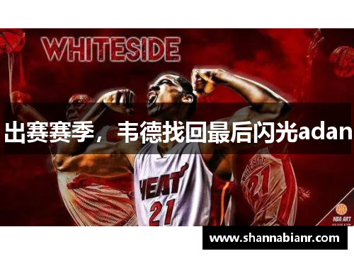 出赛赛季，韦德找回最后闪光adan